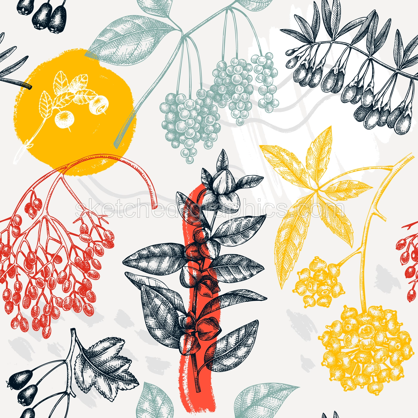 Collage style botanical background. Hand-sketched medicinal herbs, weeds, berries, leaves backdrop. Perfect for brands, label, packaging wrapping. Adaptogenic plants seamless pattern Illustration